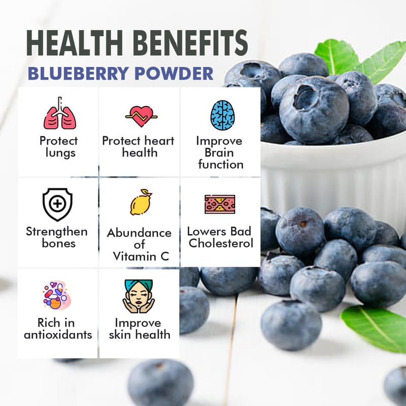 Orgenik: Shop Blueberry Fruit Juice Powder 45g