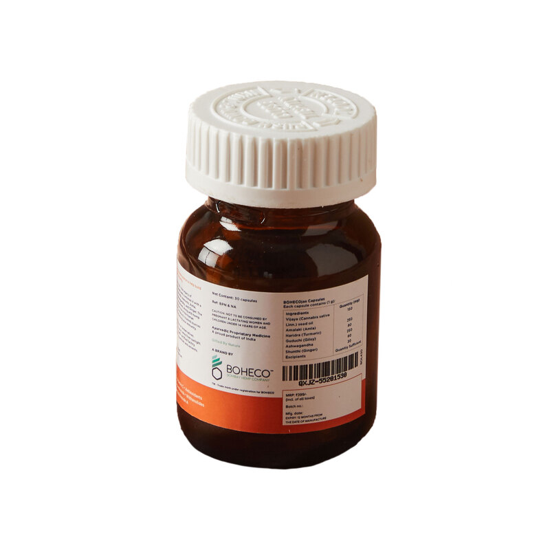 Orgenik: Shop Immunity Booster 30 Capsules from the brand Boheco Life