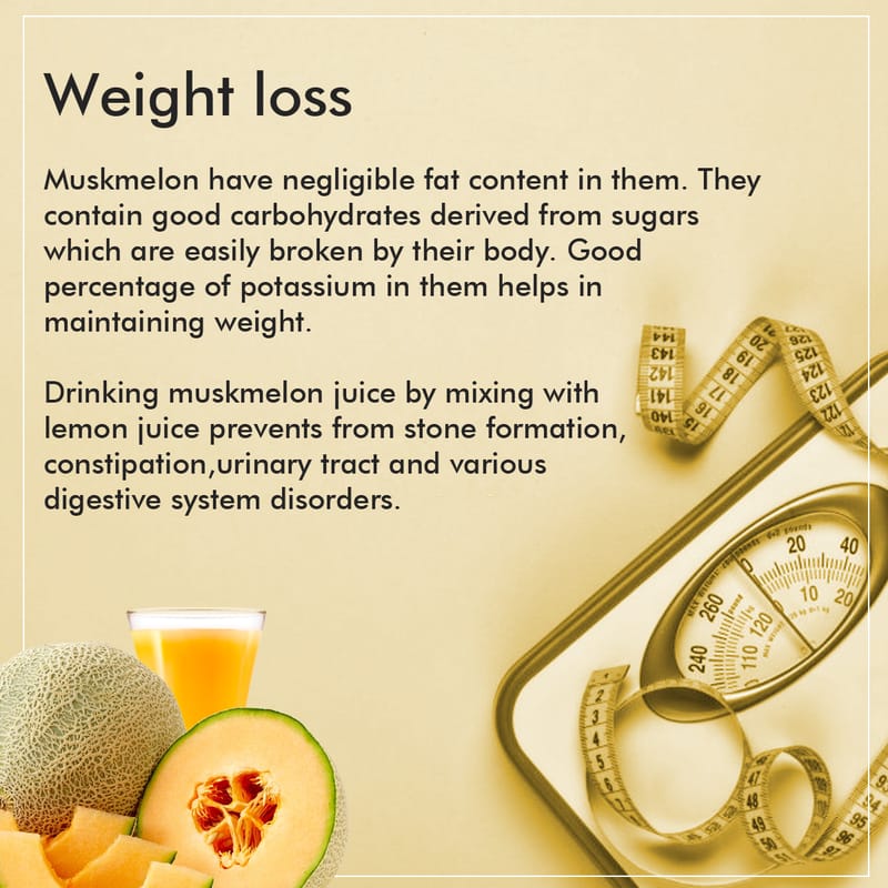 Orgenik: Shop Muskmelon Fruit Juice Powder 90g from the brand Nattfru