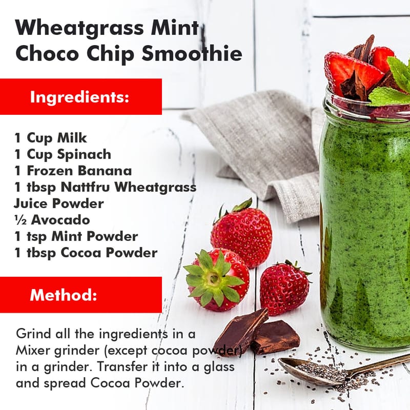 Orgenik: Shop Wheat Grass Juice Powder 14g