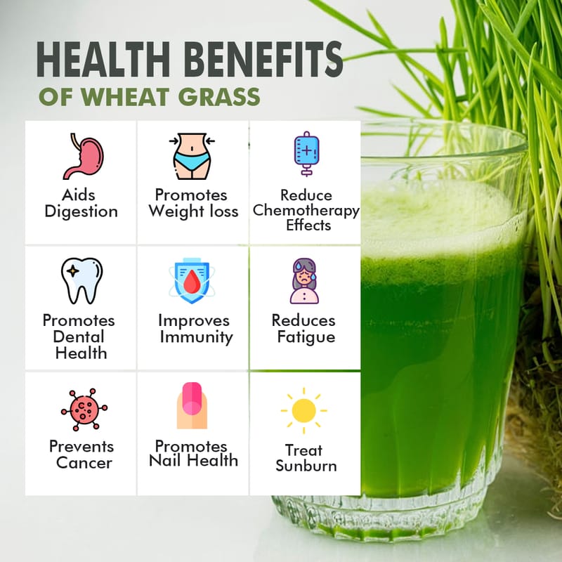 Orgenik: Shop Wheat Grass Juice Powder 14g