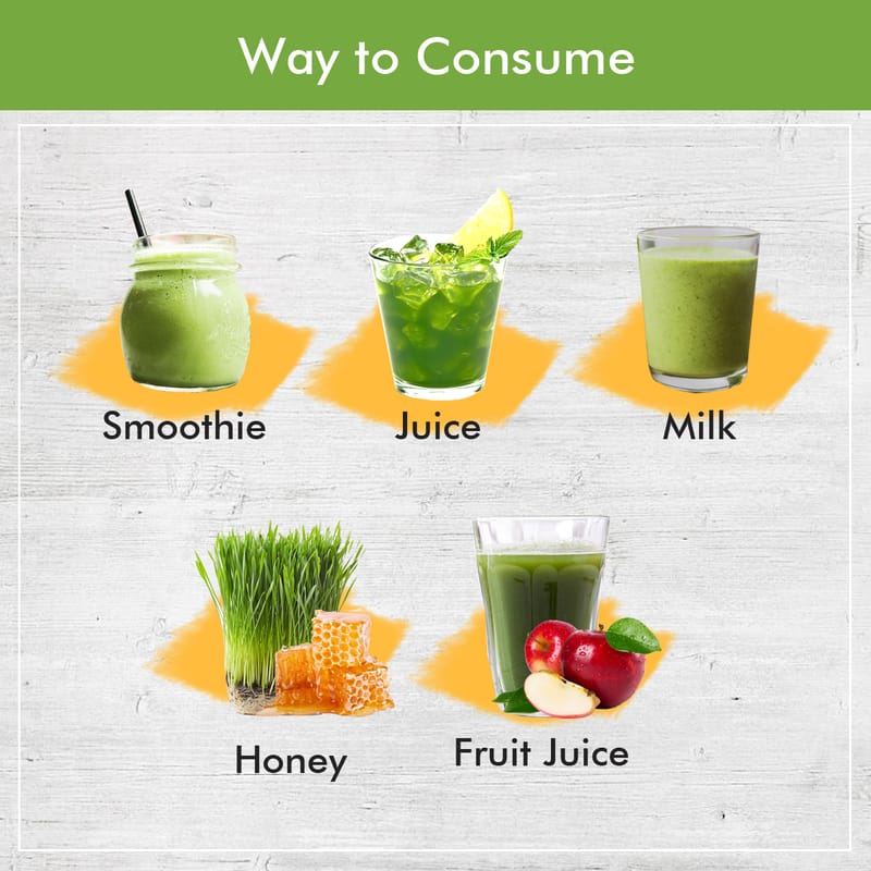 Orgenik: Shop Wheat Grass Juice Powder 14g