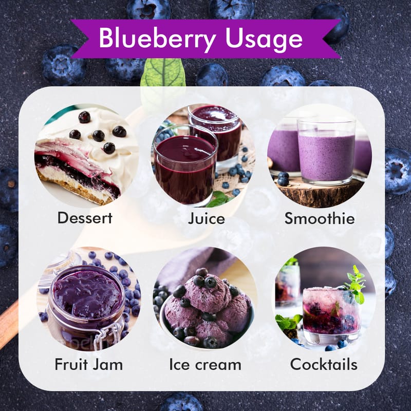 Orgenik: Shop Blueberry Fruit Juice Powder 45g