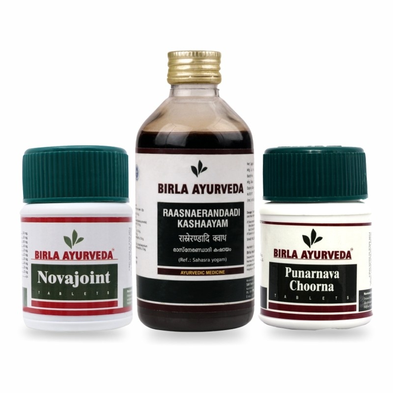 Orgenik: Shop Joint Pain Kit: Novajoint + Rasnaerandadi Kashyam + Punarnava from the brand Birla Ayurveda